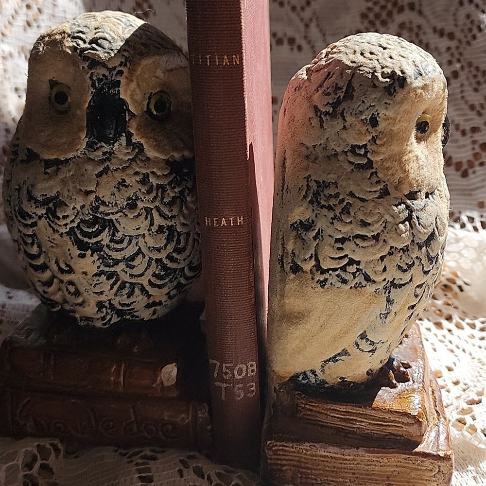 Chippy Chalkware Knowledge Owl Bookends - Picture 7 of 13